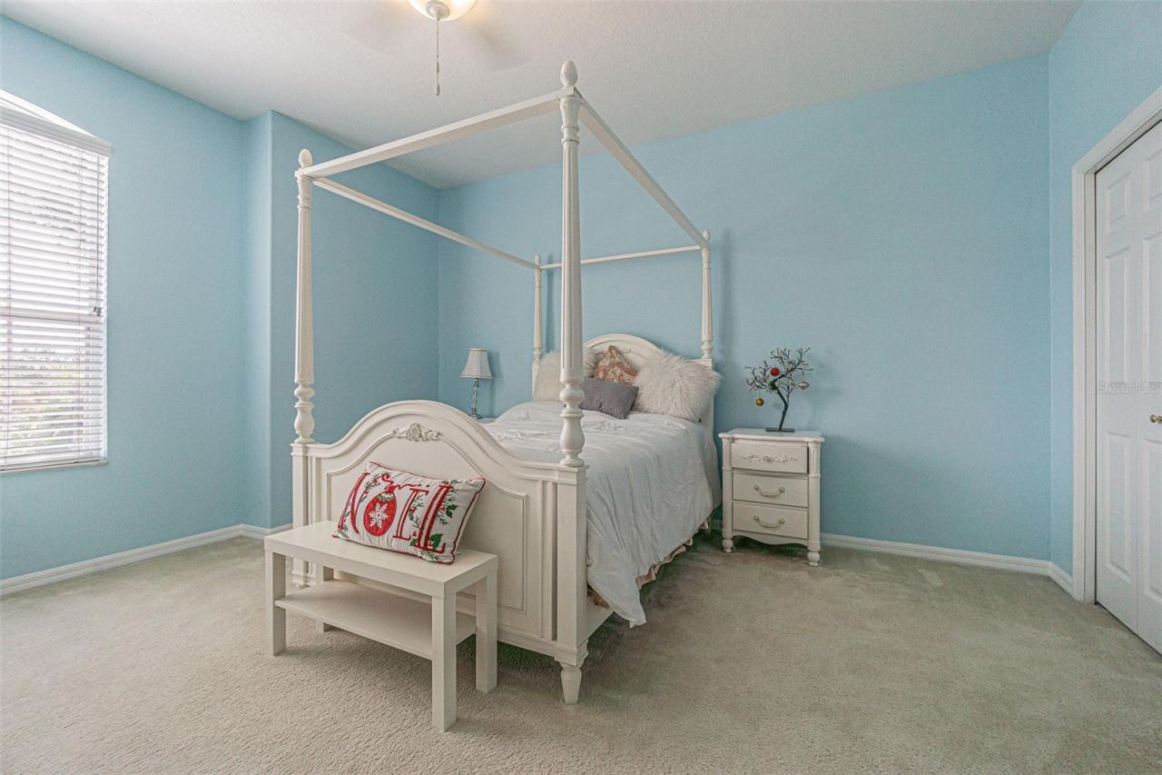 3356 Zack Drive , Dunedin, FL 34698 Photo
