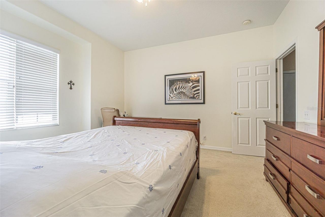 3356 Zack Drive , Dunedin, FL 34698 Photo