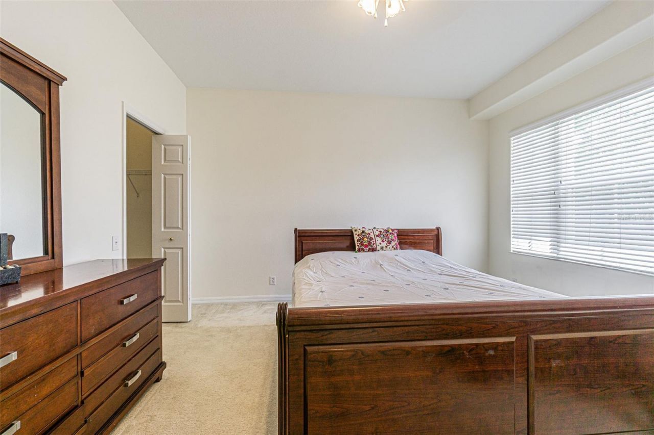 3356 Zack Drive , Dunedin, FL 34698 Photo