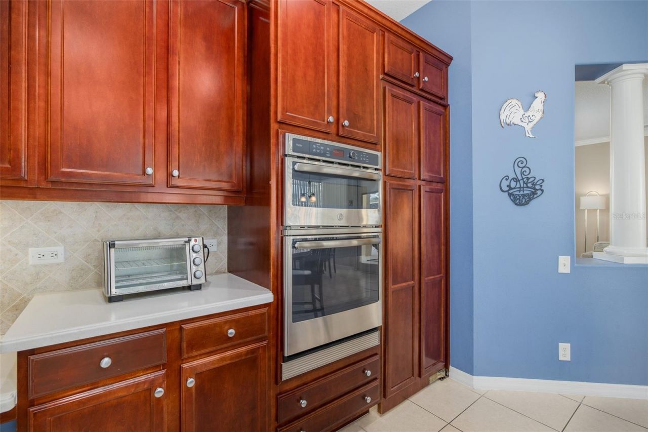 2131 Gold Dust Court , Trinity, FL 34655 Photo