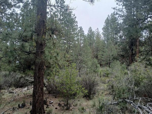 0 Tableland Road, Chiloquin, OR 97624
