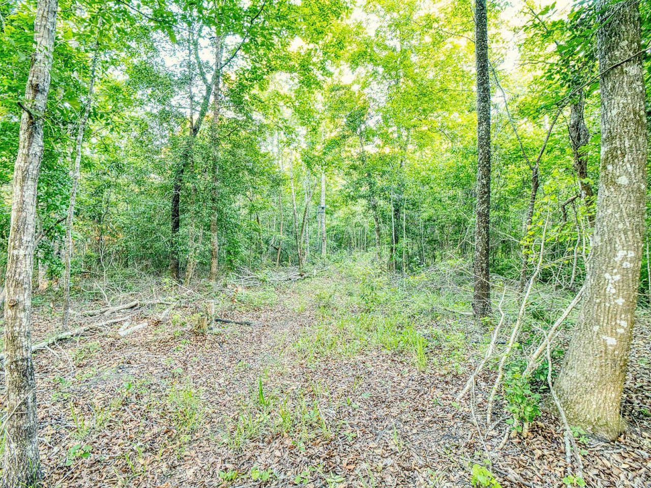 Tbd Chair Rd.  Photo 11