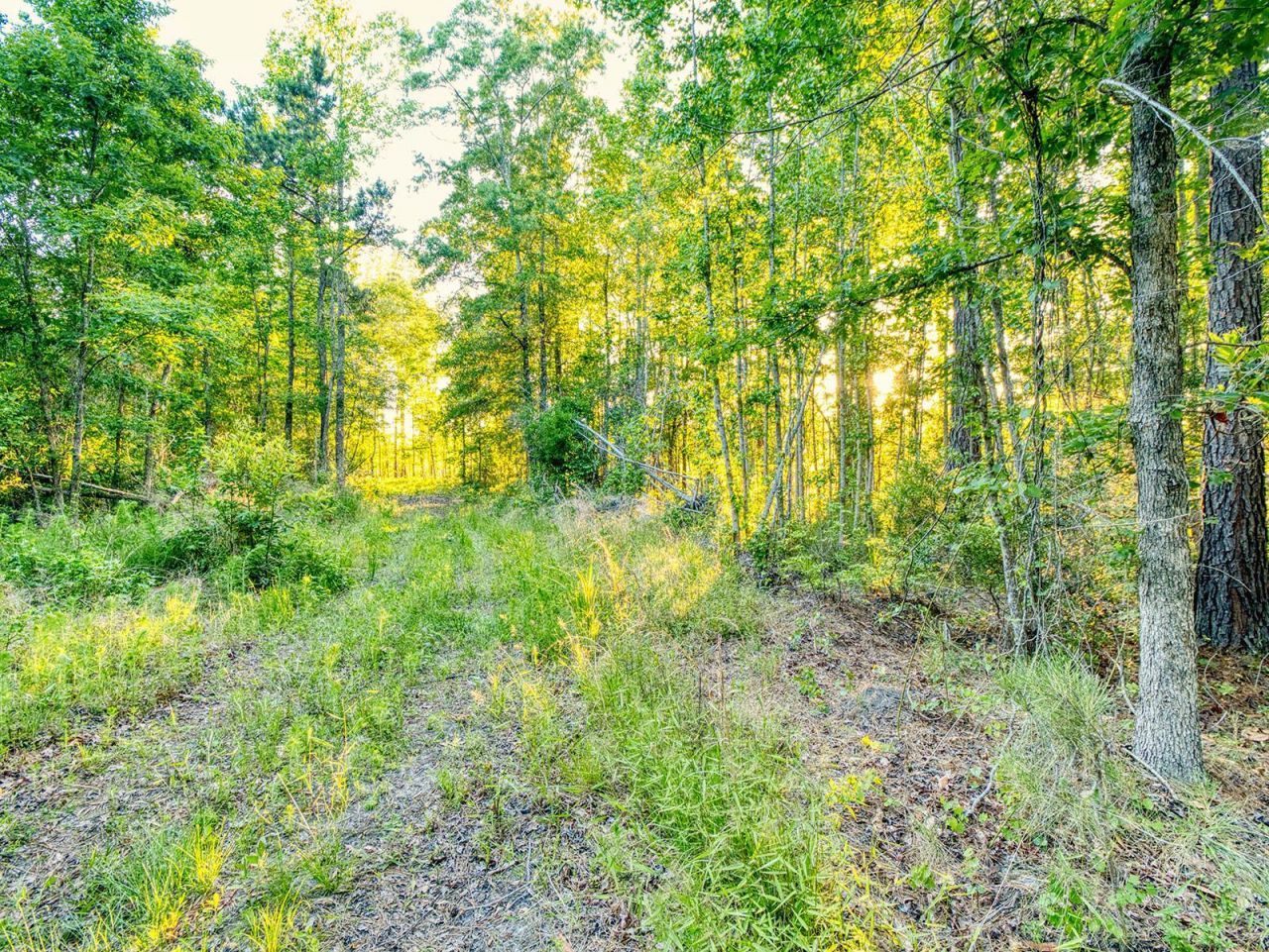 Tbd Chair Rd.  Photo 12