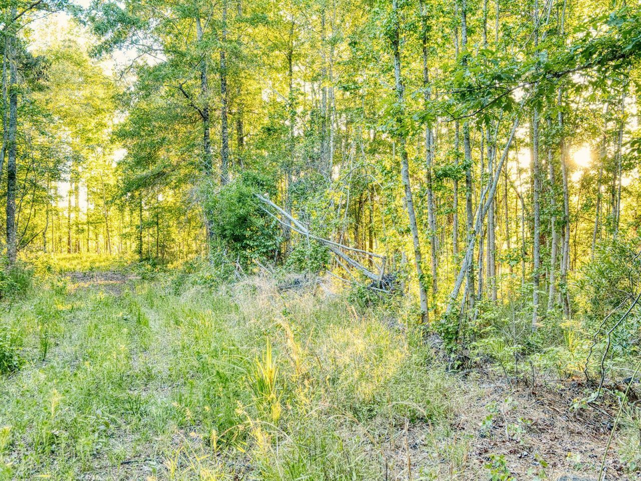 Tbd Chair Rd.  Photo 13