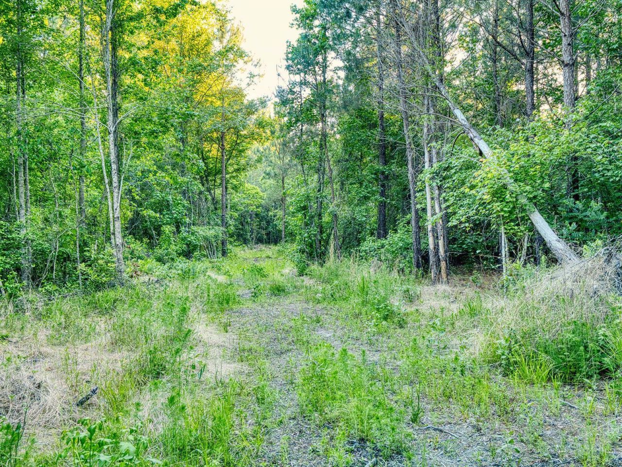 Tbd Chair Rd.  Photo 15