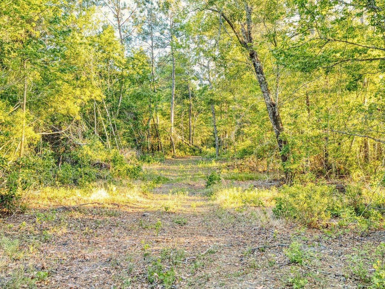 Tbd Chair Rd.  Photo 16