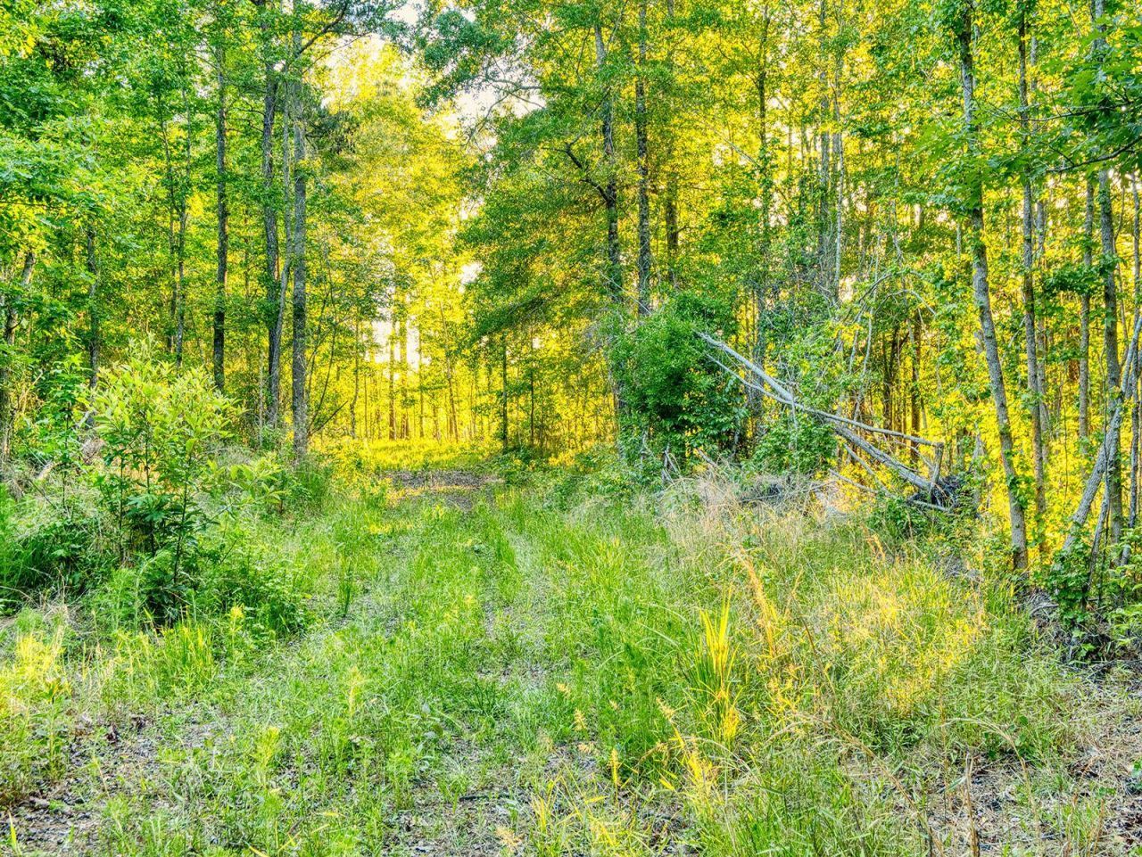 Tbd Chair Rd.  Photo 17