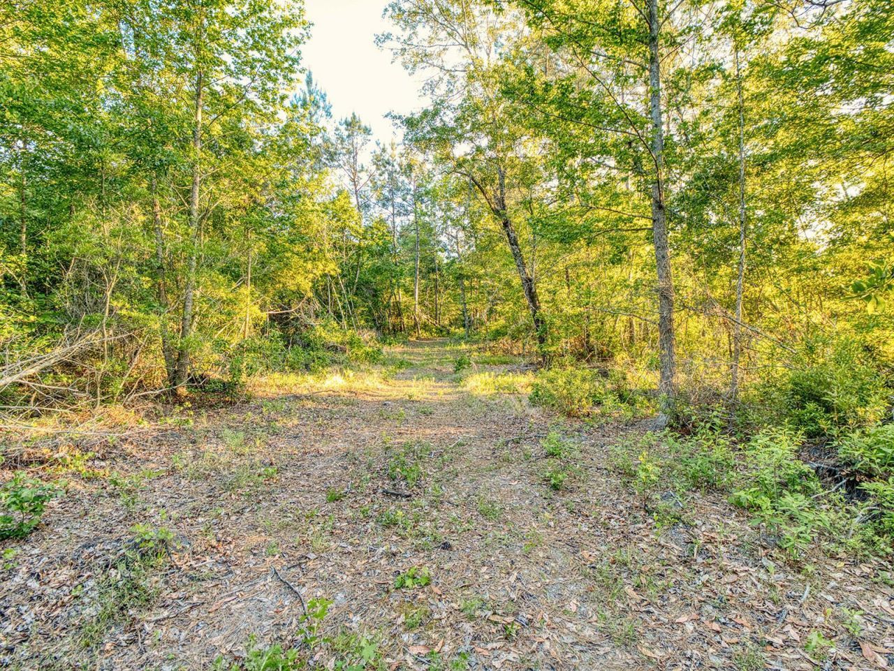 Tbd Chair Rd.  Photo 18