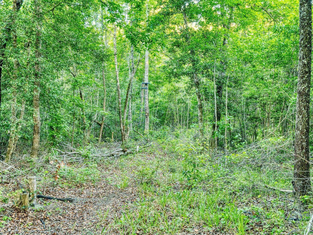 Tbd Chair Rd.  Photo 19