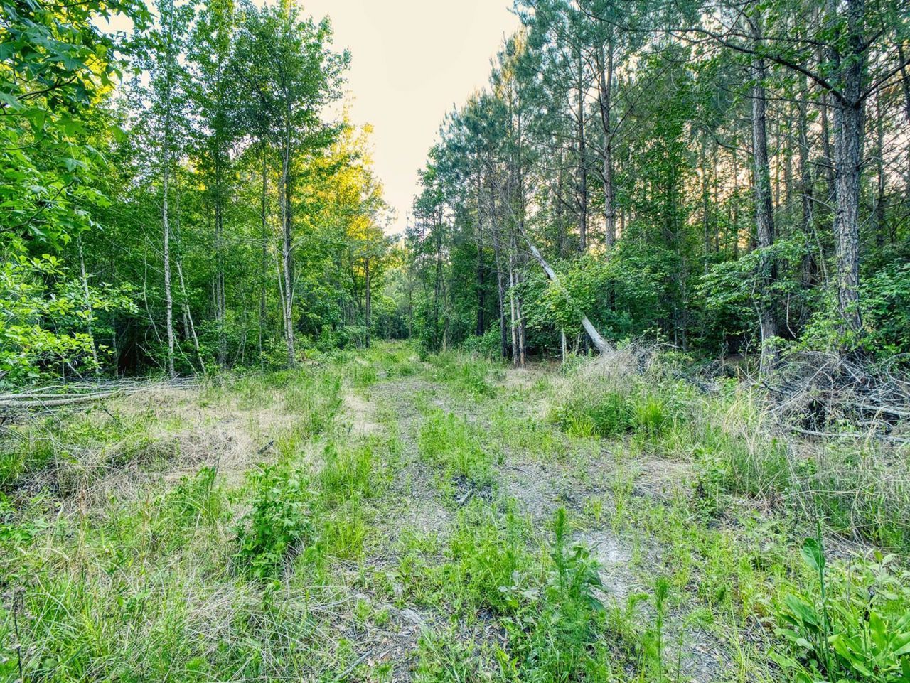 Tbd Chair Rd.  Photo 20