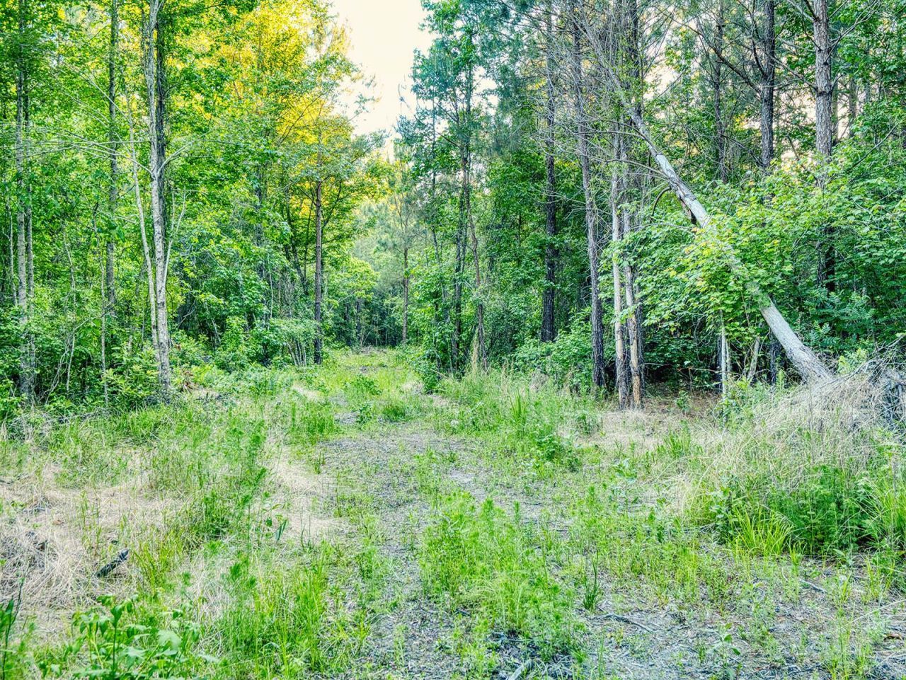 Tbd Chair Rd.  Photo 21