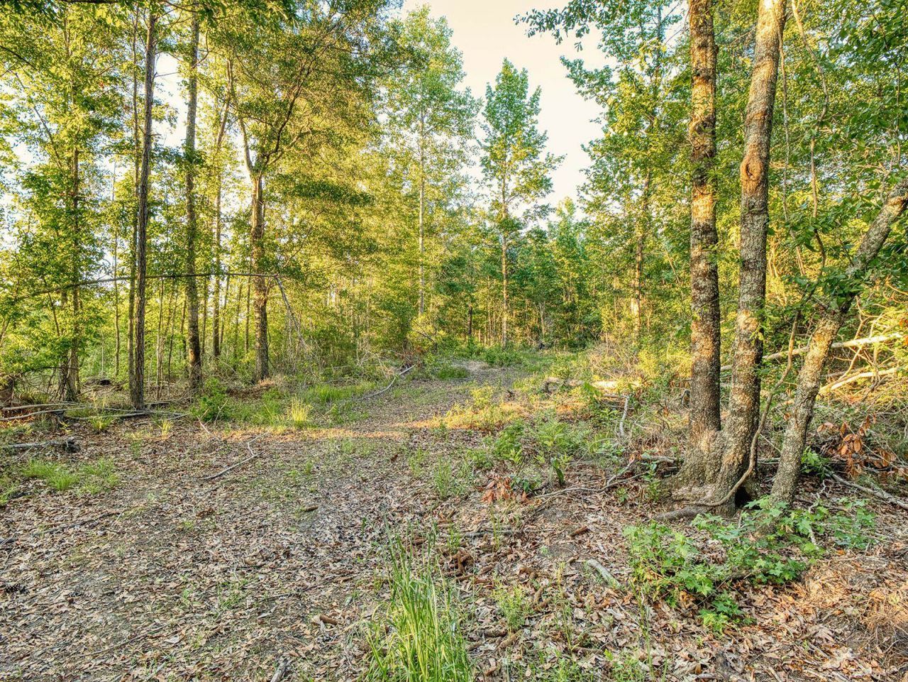 Tbd Chair Rd.  Photo 22