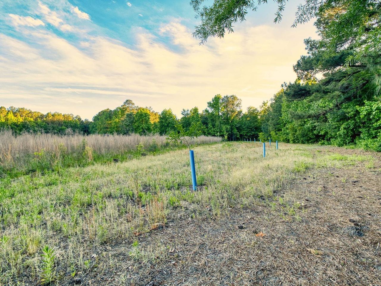 Tbd Chair Rd.  Photo 25