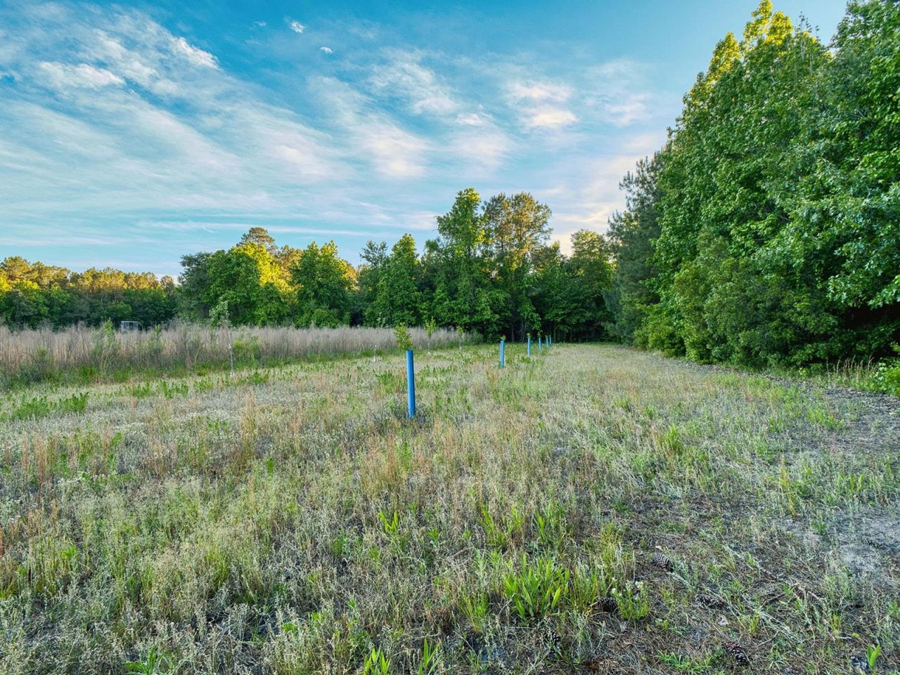Tbd Chair Rd.  Photo 26