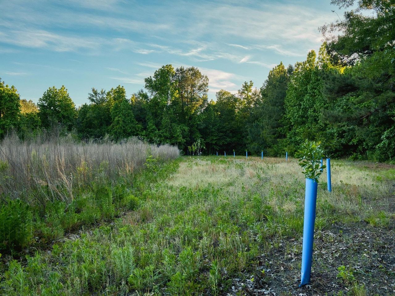 Tbd Chair Rd.  Photo 27