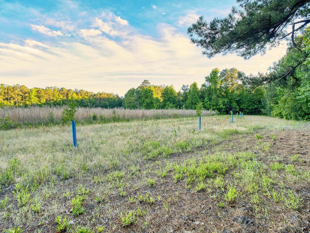 Tbd Chair Rd.  Photo 29