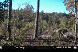 Tbd Chair Rd.  photo 4