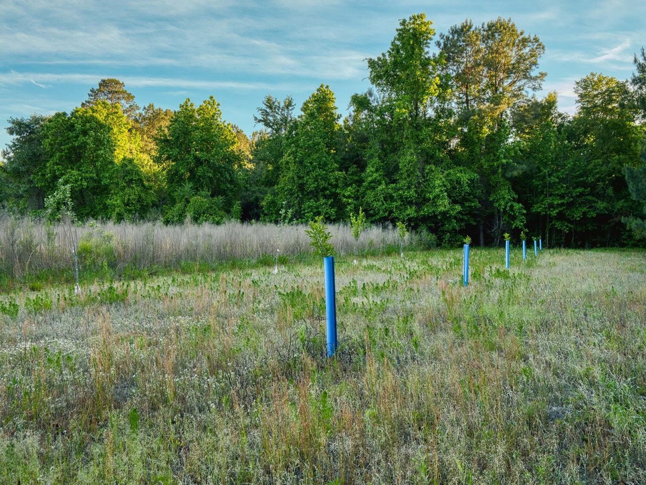 Tbd Chair Rd.  Photo 30