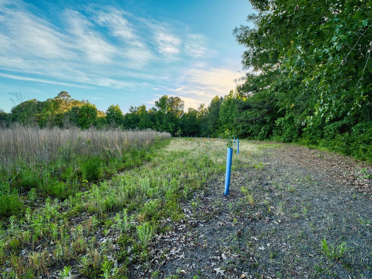 Tbd Chair Rd.  Photo 31