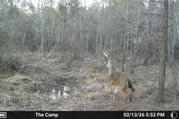 Tbd Chair Rd.  photo 4
