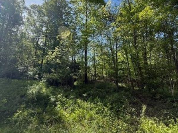 Scott Dr, Newcomerstown, OH 43832