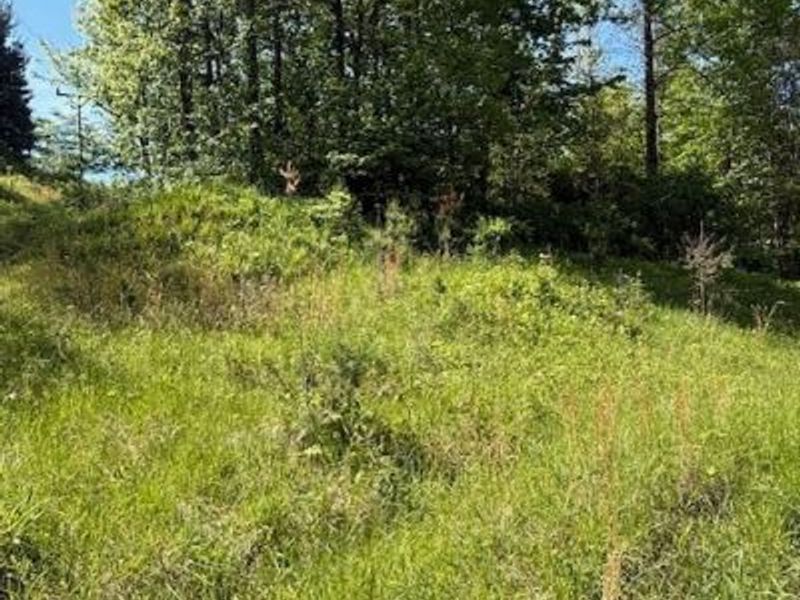 Scott Dr, Newcomerstown, OH 43832 Photo 3