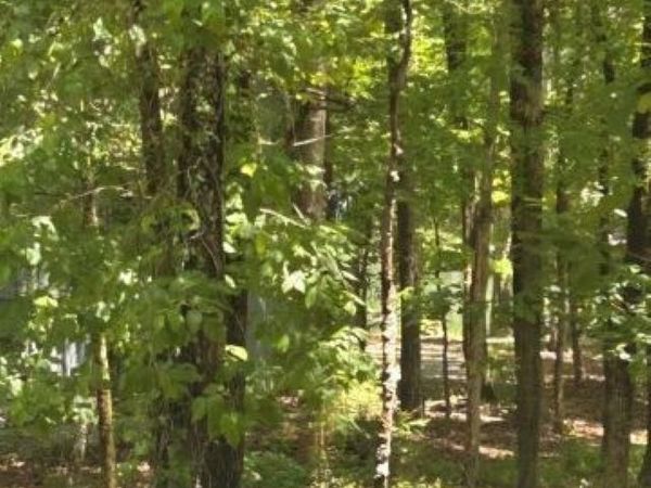 7 Sabiote Way , Hot Springs Village, AR 71909