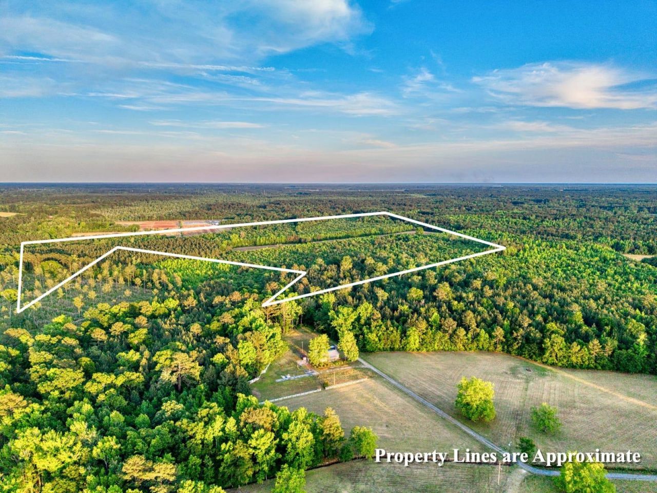 Tbd Carroll Rd.  Photo 4