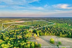 Tbd Carroll Rd.  photo 4