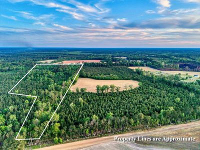 240 Guess Rd. , Greeleyville, SC 29056