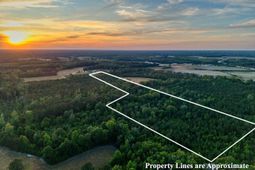 240 Guess Rd.  photo 4