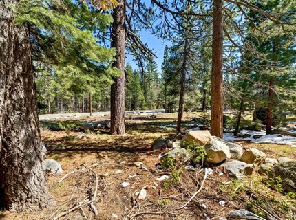 804 Us Highway 50, South Lake Tahoe, CA 96150 Photo