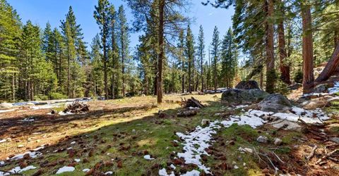 804 Us Highway 50, South Lake Tahoe, CA 96150 Photo