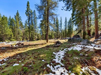 804 Us Highway 50, South Lake Tahoe, CA 96150 Photo