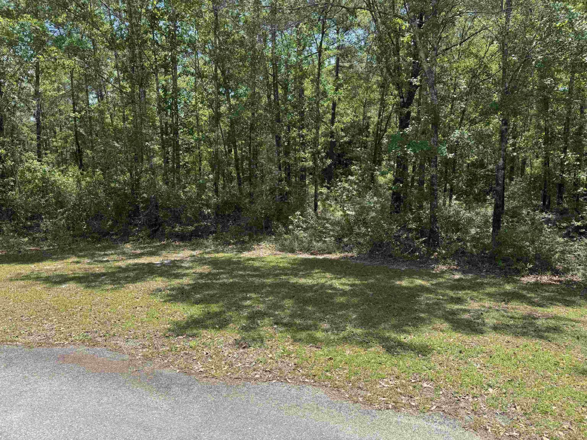 X Coquina Crossing Drive, Saint Marks, FL 32355 Photo