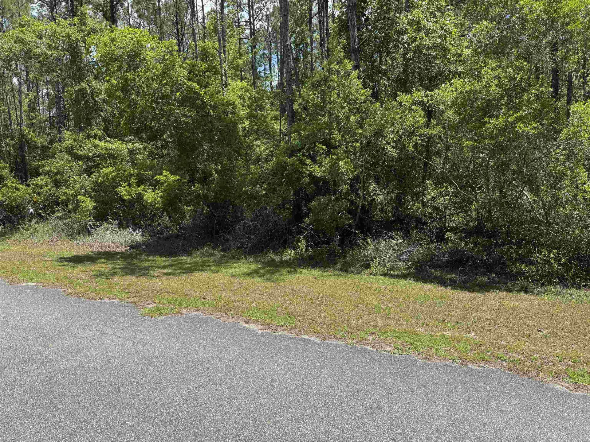 X Coquina Crossing Drive, Saint Marks, FL 32355 Photo