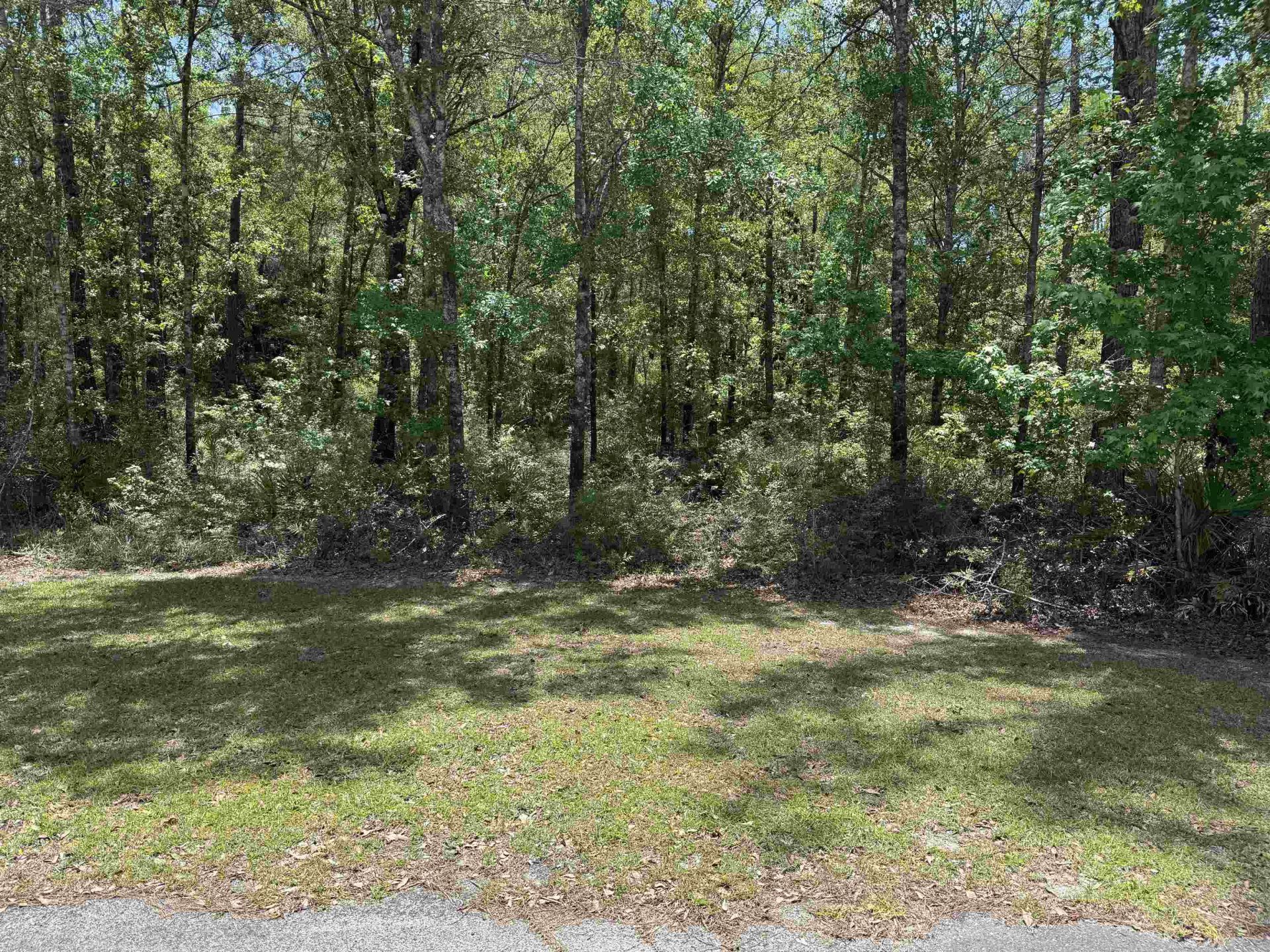Xx Boulder Run, Saint Marks, FL 32355 Photo