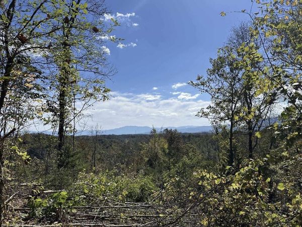 036 Happy Creek Road, Seymour, TN 37865