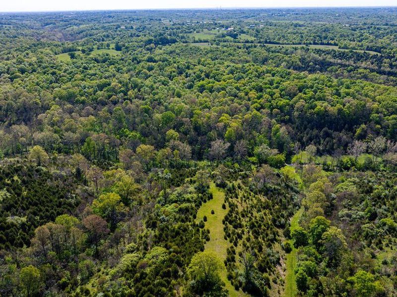 2300 Taft HWY, Dry Ridge, KY 41035 Photo 16