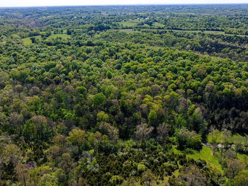 2300 Taft HWY, Dry Ridge, KY 41035 Photo 17