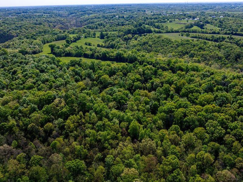 2300 Taft HWY, Dry Ridge, KY 41035 Photo 18