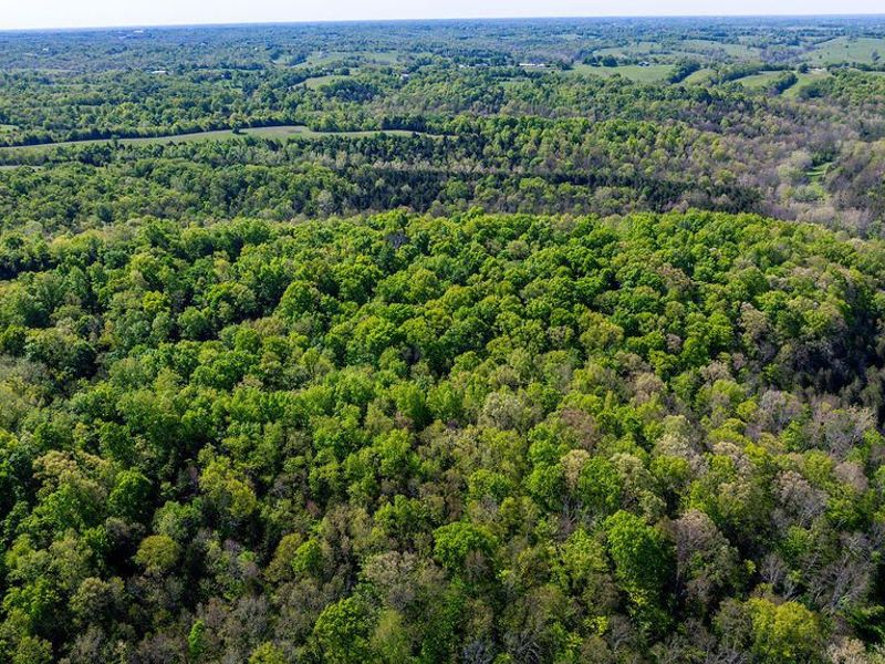 2300 Taft HWY, Dry Ridge, KY 41035 Photo 27