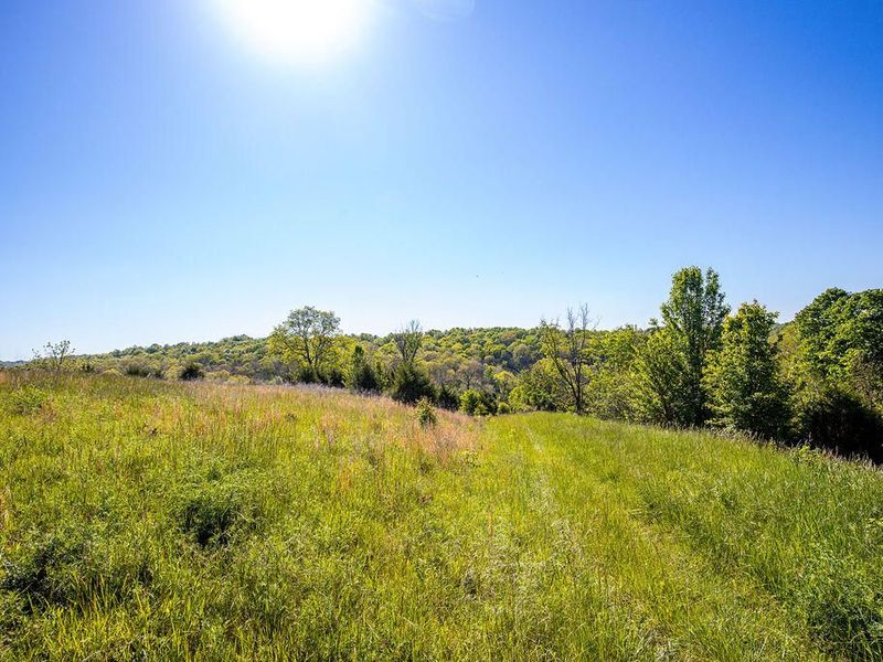 2300 Taft HWY, Dry Ridge, KY 41035 Photo 5