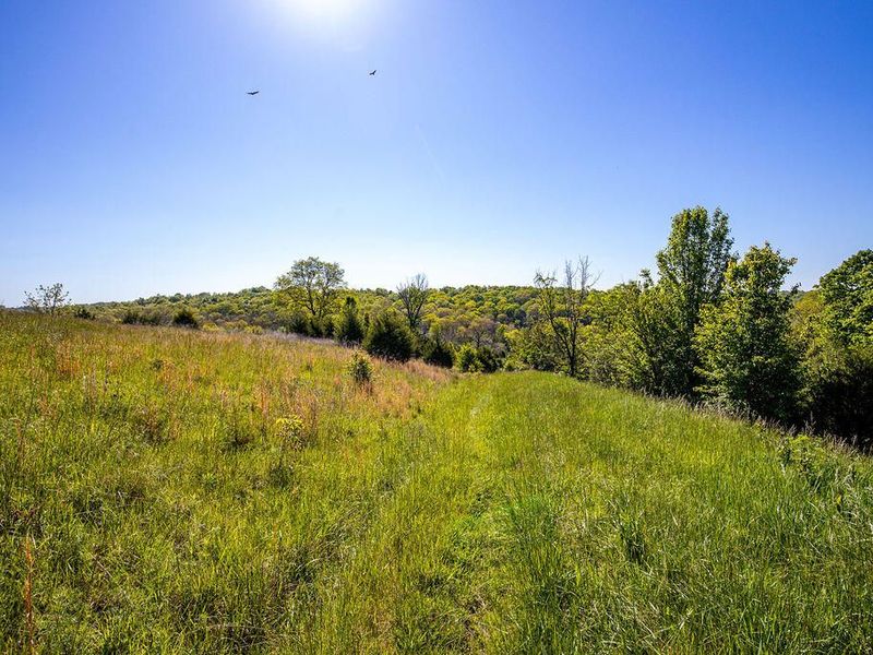 2300 Taft HWY, Dry Ridge, KY 41035 Photo 7