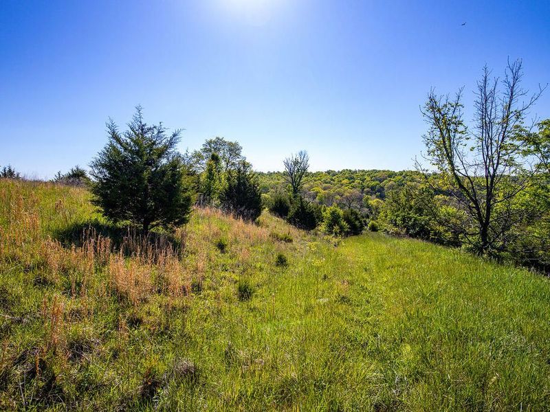 2300 Taft HWY, Dry Ridge, KY 41035 Photo 8
