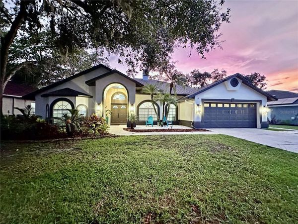 4617 BASSWOOD STREET , LAND O LAKES, FL 34639
