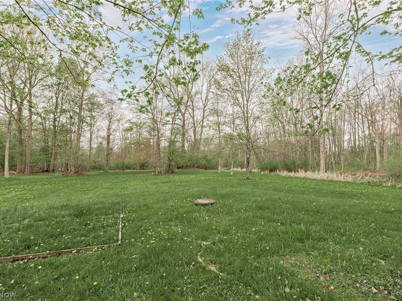 13310 Cedar Acres Drive, Chesterland, OH 44026 Photo 47