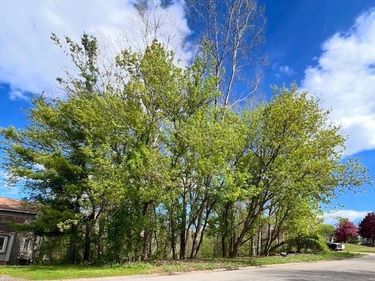 0000 Serenity Road, Oakland Twp, MI 48363