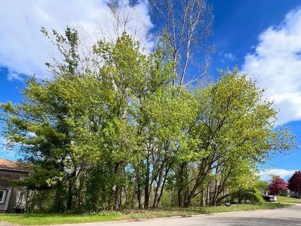 0000 Serenity Road, Oakland Twp, MI 48363