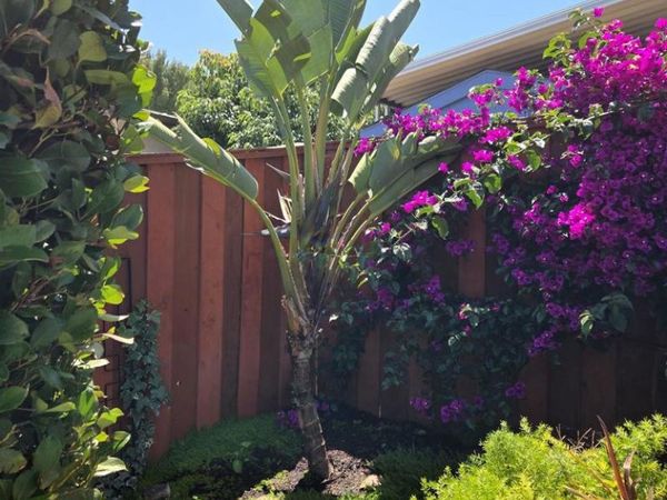 125 Paulette Way, Antioch, CA 94509